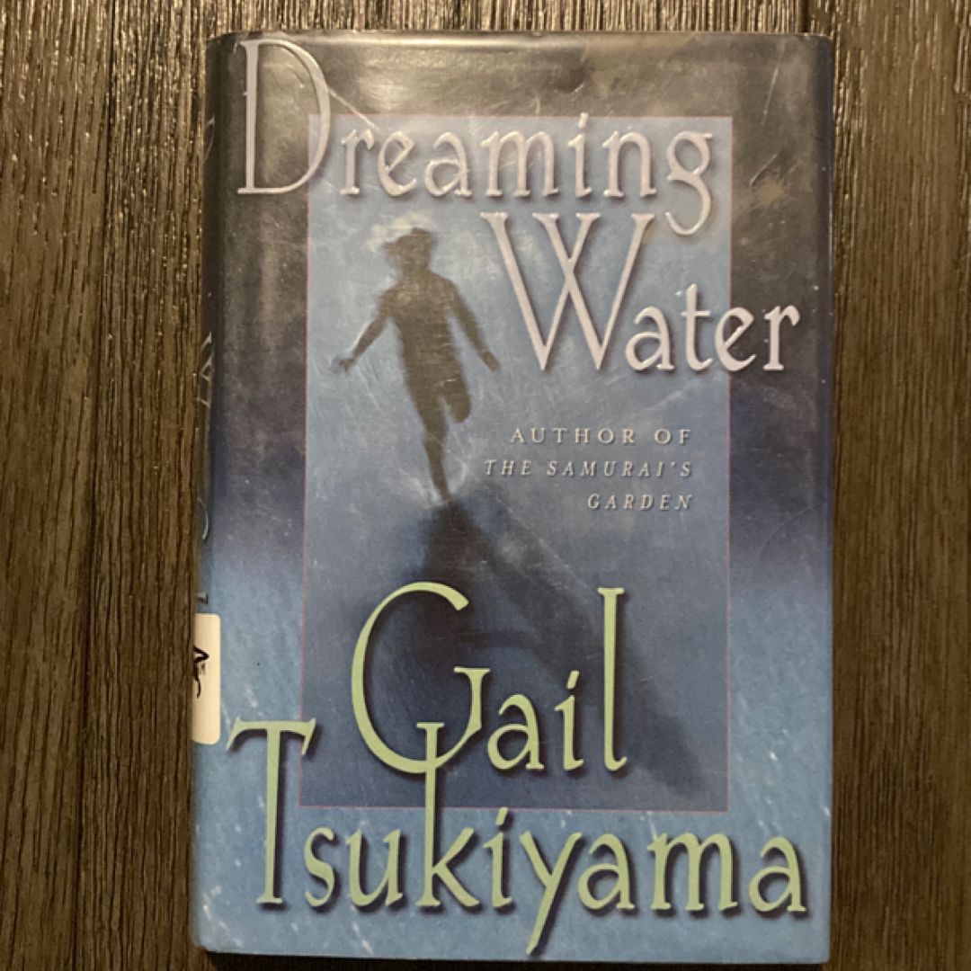 Dreaming Water