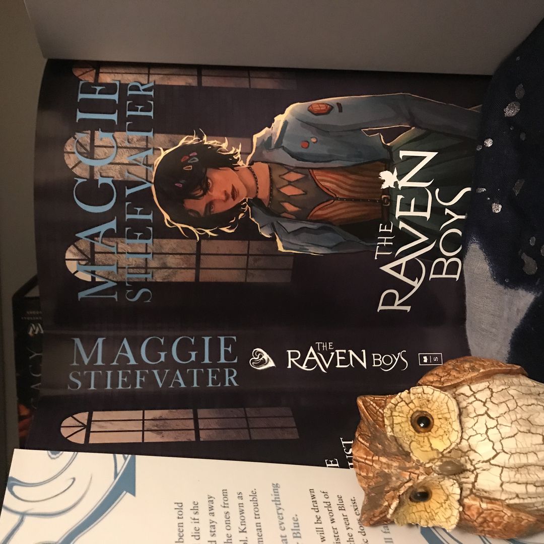 Complete Raven Cycle Series Lot 4 Books By Maggie Stiefvater - The Raven Boys, The Dream Thieves, Blue Lily, Lily, The Raven King (YA Fantasy)