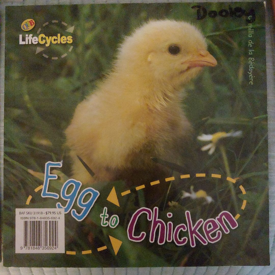 Egg to Chicken