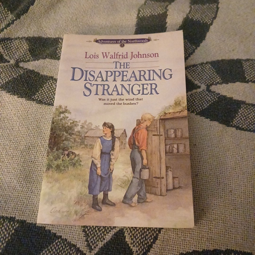 The Disappearing Stranger