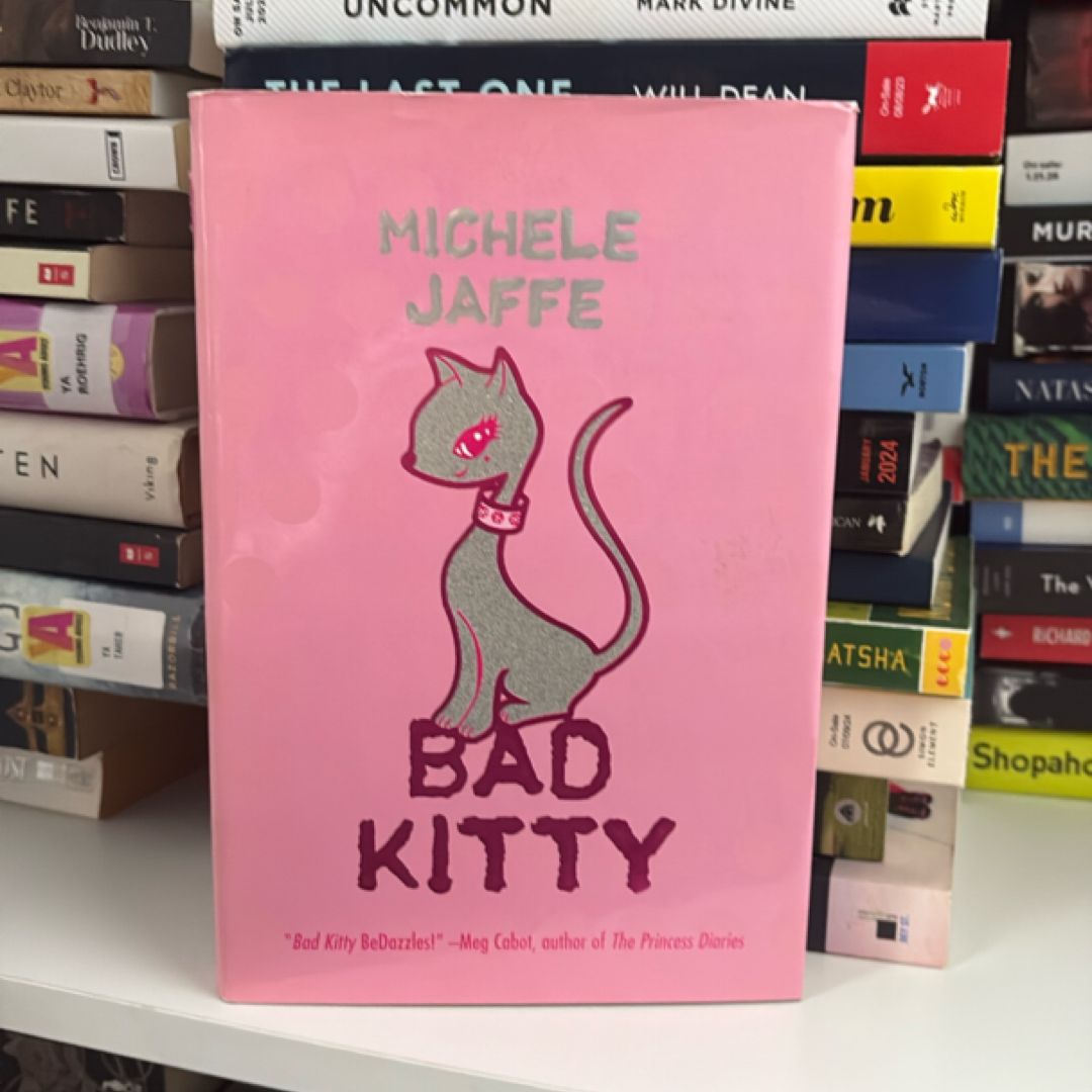 Bad Kitty