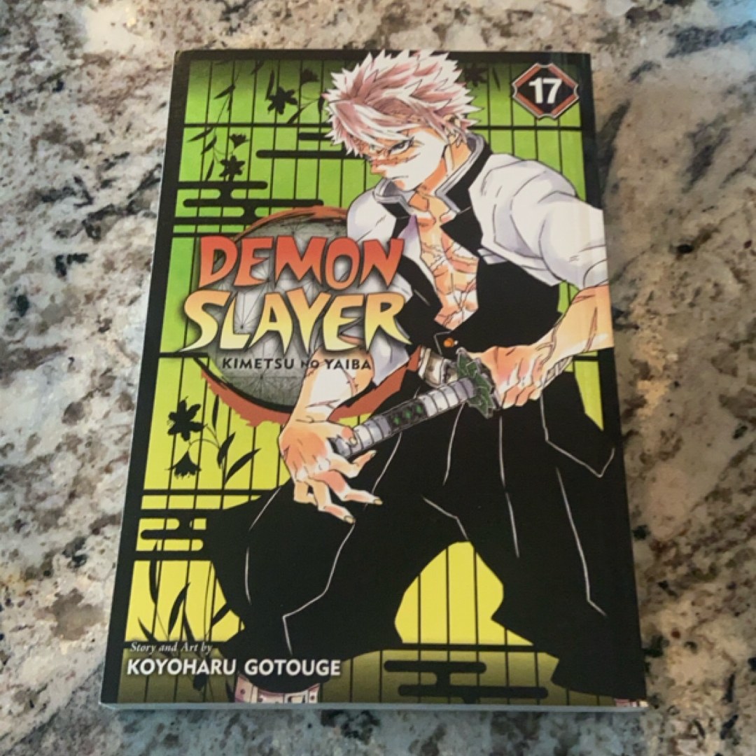 Demon Slayer: Kimetsu No Yaiba, Vol. 17