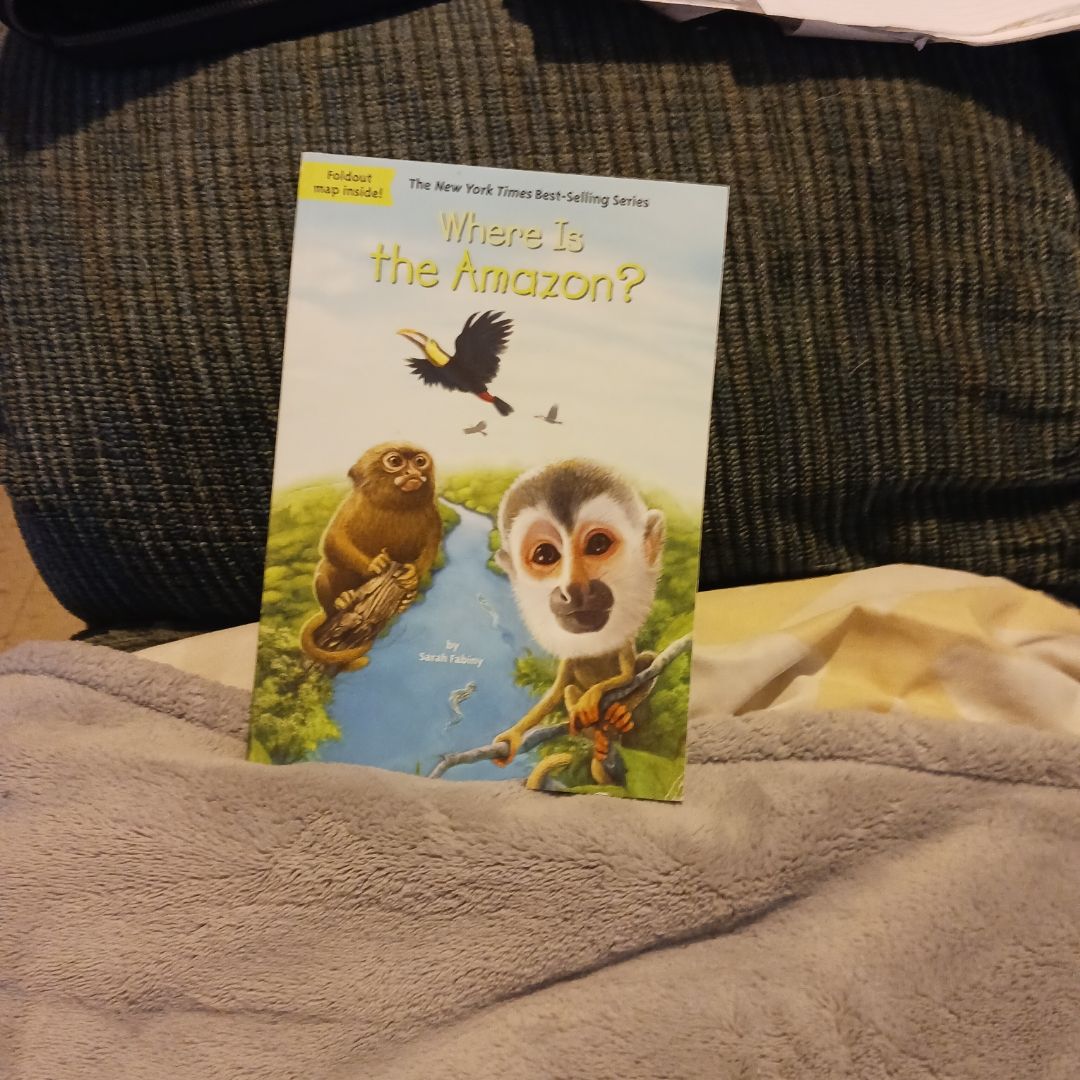 Where Is the Amazon?