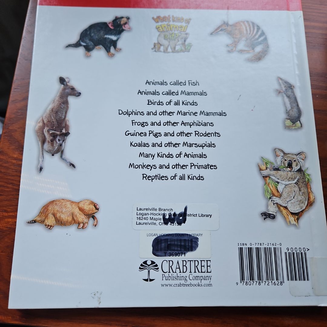 Koalas and Other Marsupials