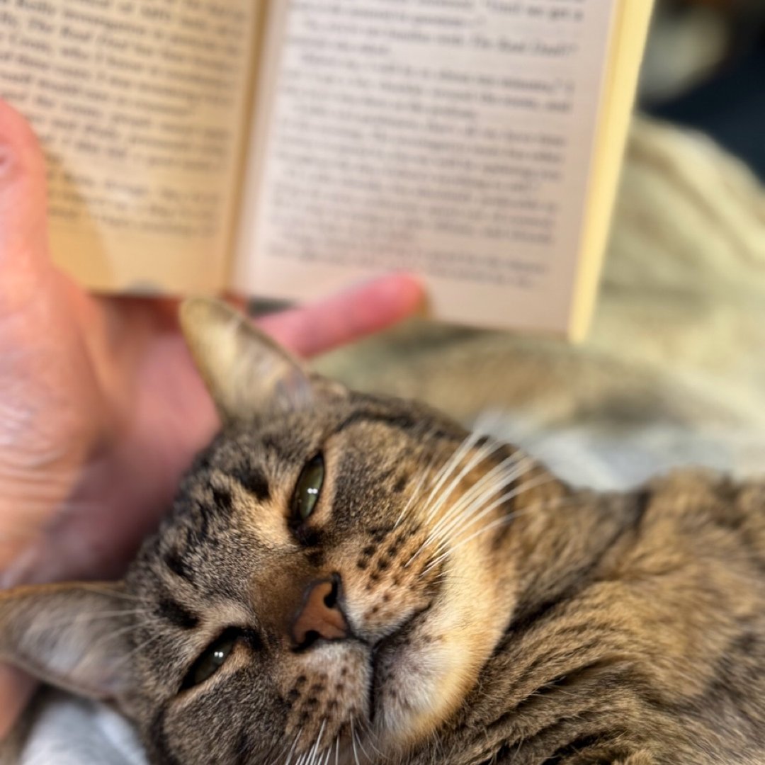 C Books