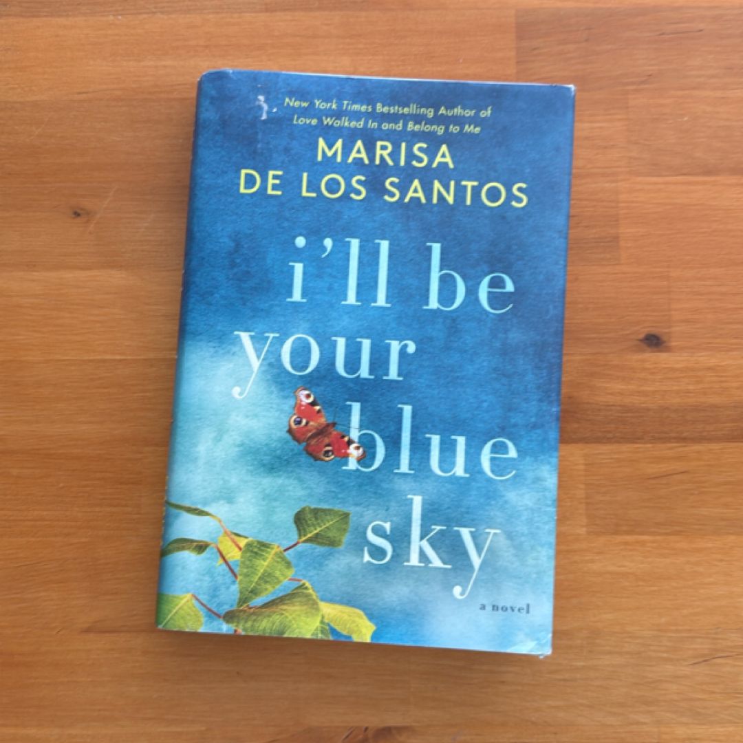 I'll Be Your Blue Sky