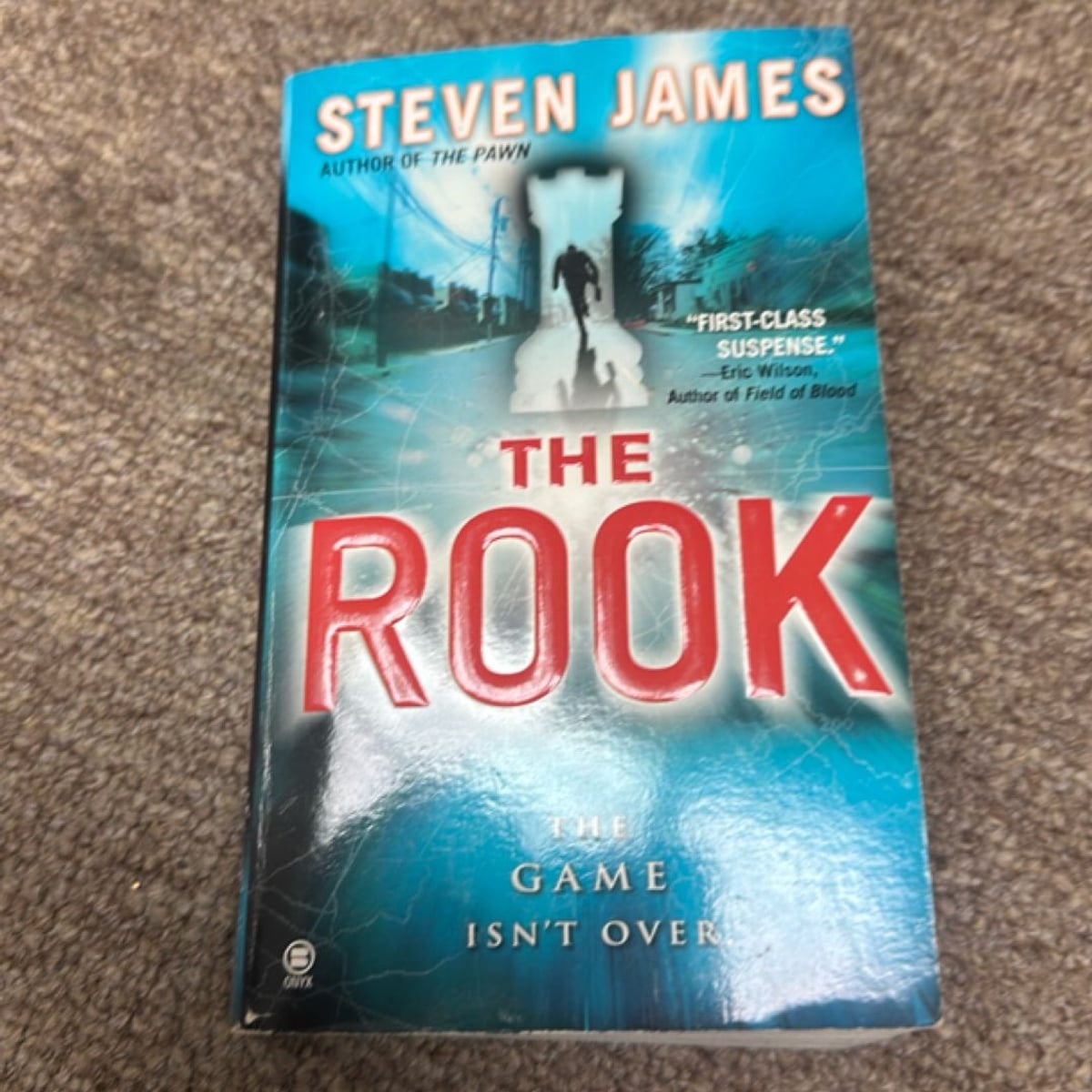 The Rook by Steven James