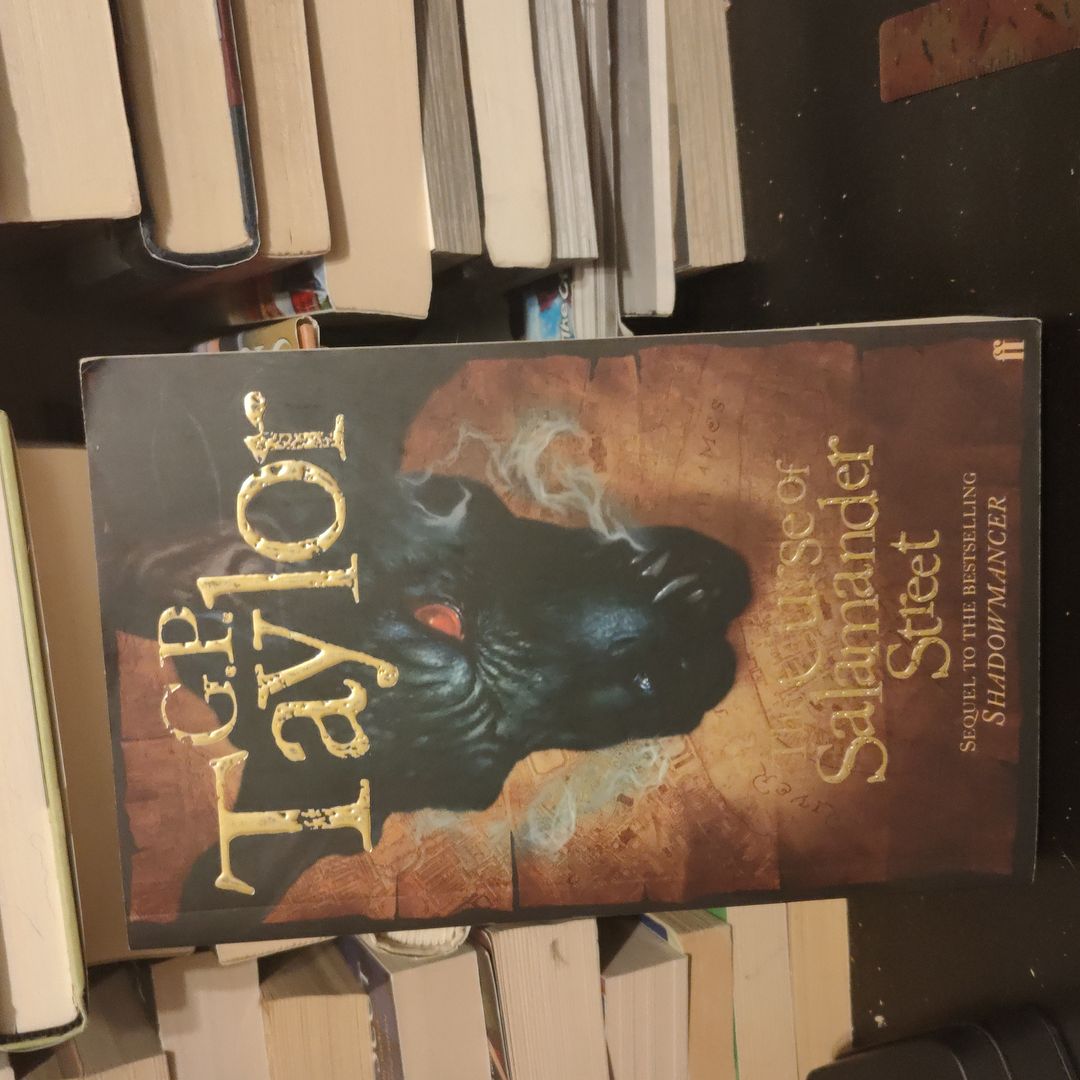 The Shadowmancer Returns