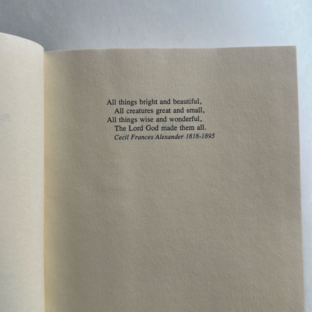 All Things Wise and Wonderful