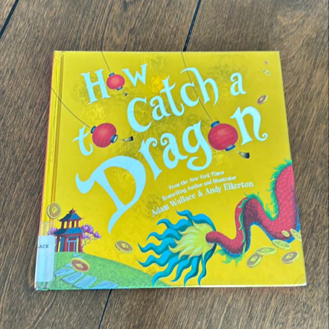 How to Catch a Dragon