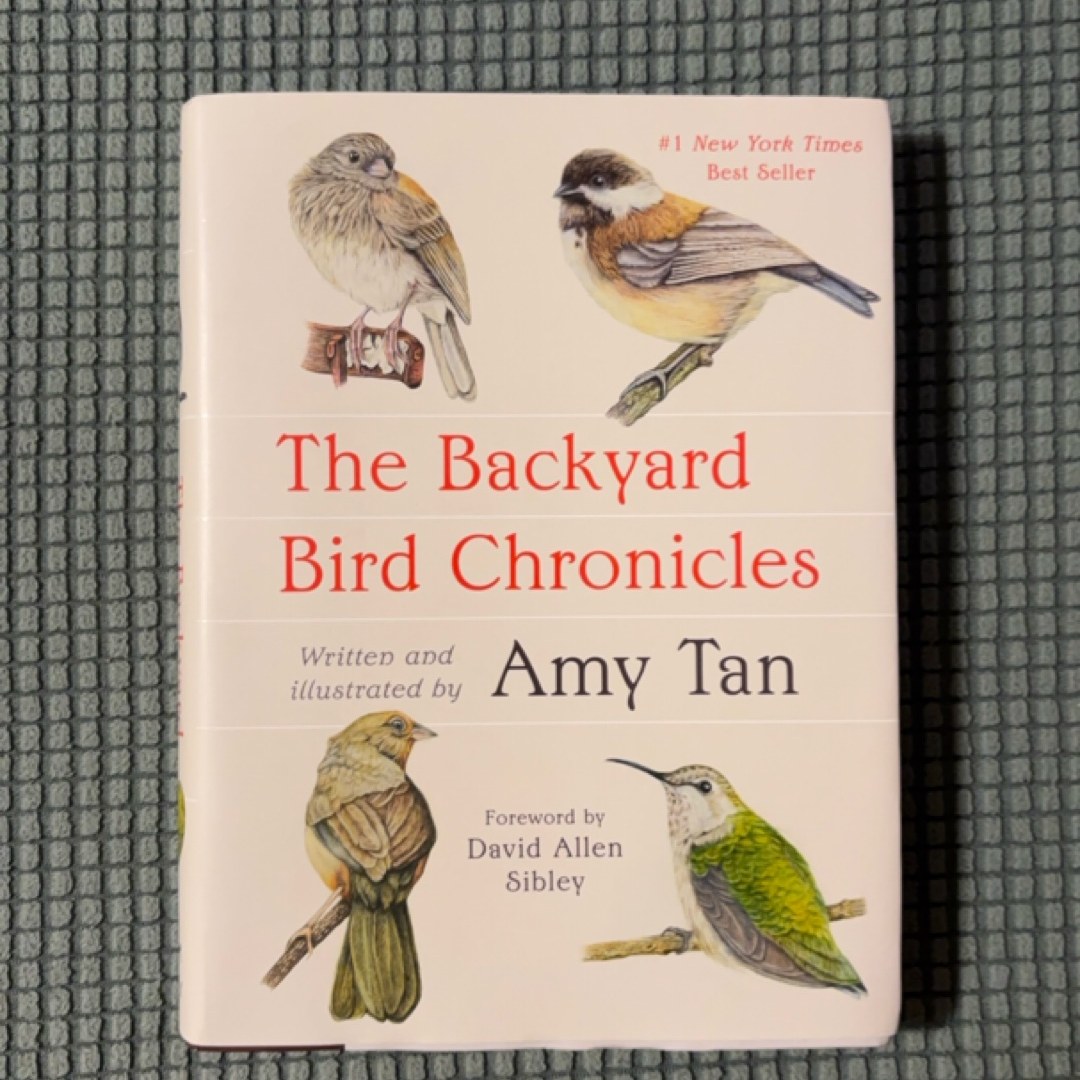 The Backyard Bird Chronicles