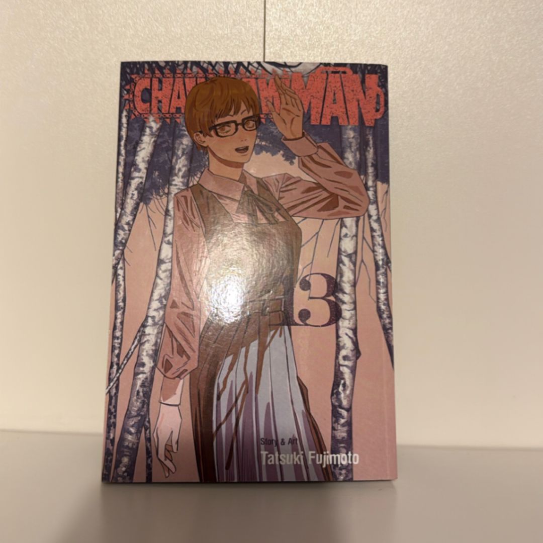 Chainsaw Man, Vol. 13