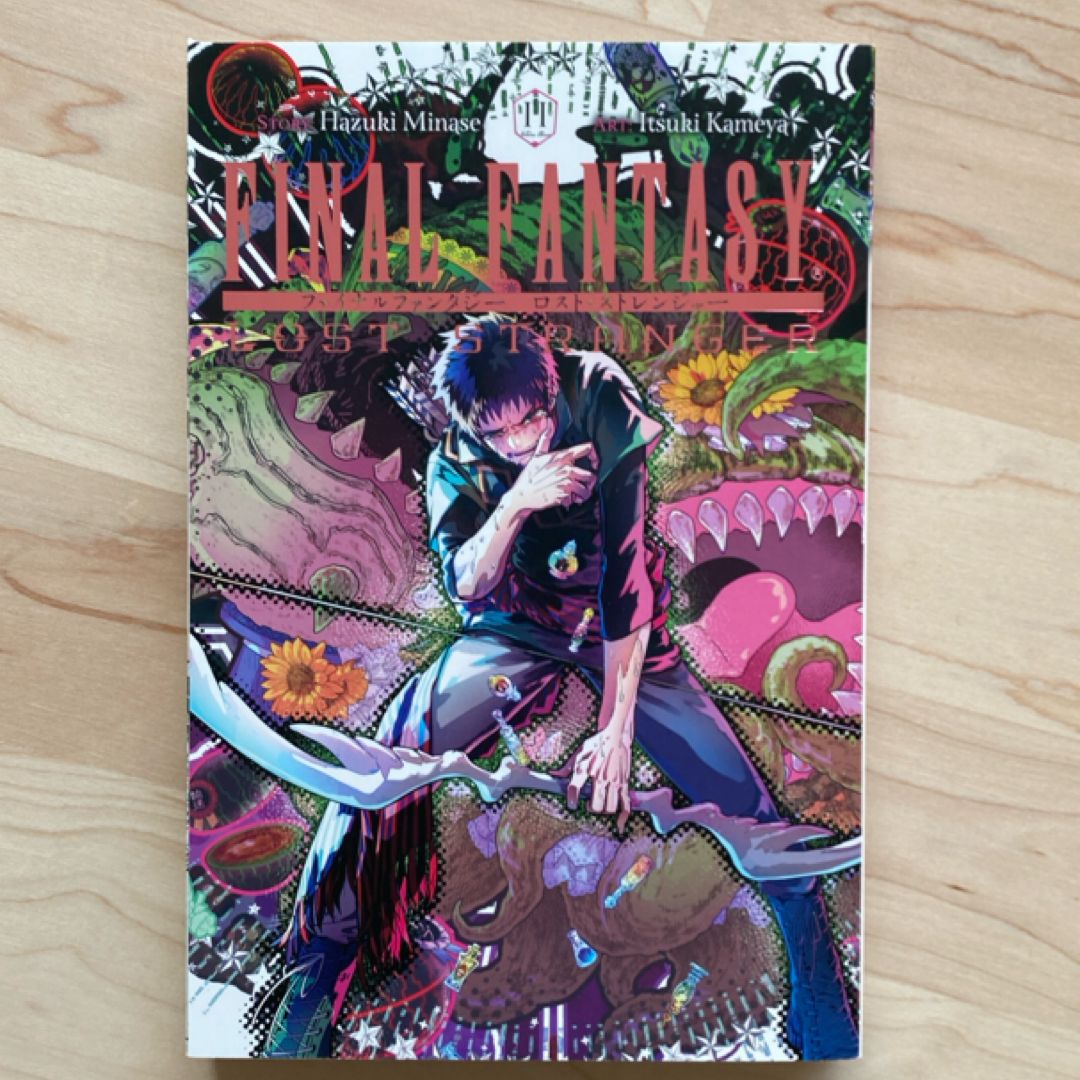 Final Fantasy Lost Stranger, Vol. 11