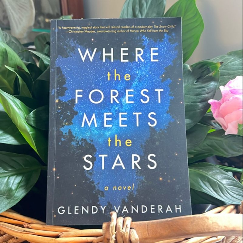 Where the Forest Meets the Stars