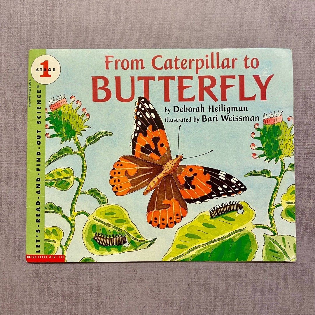 From Caterpillar to Butterfly