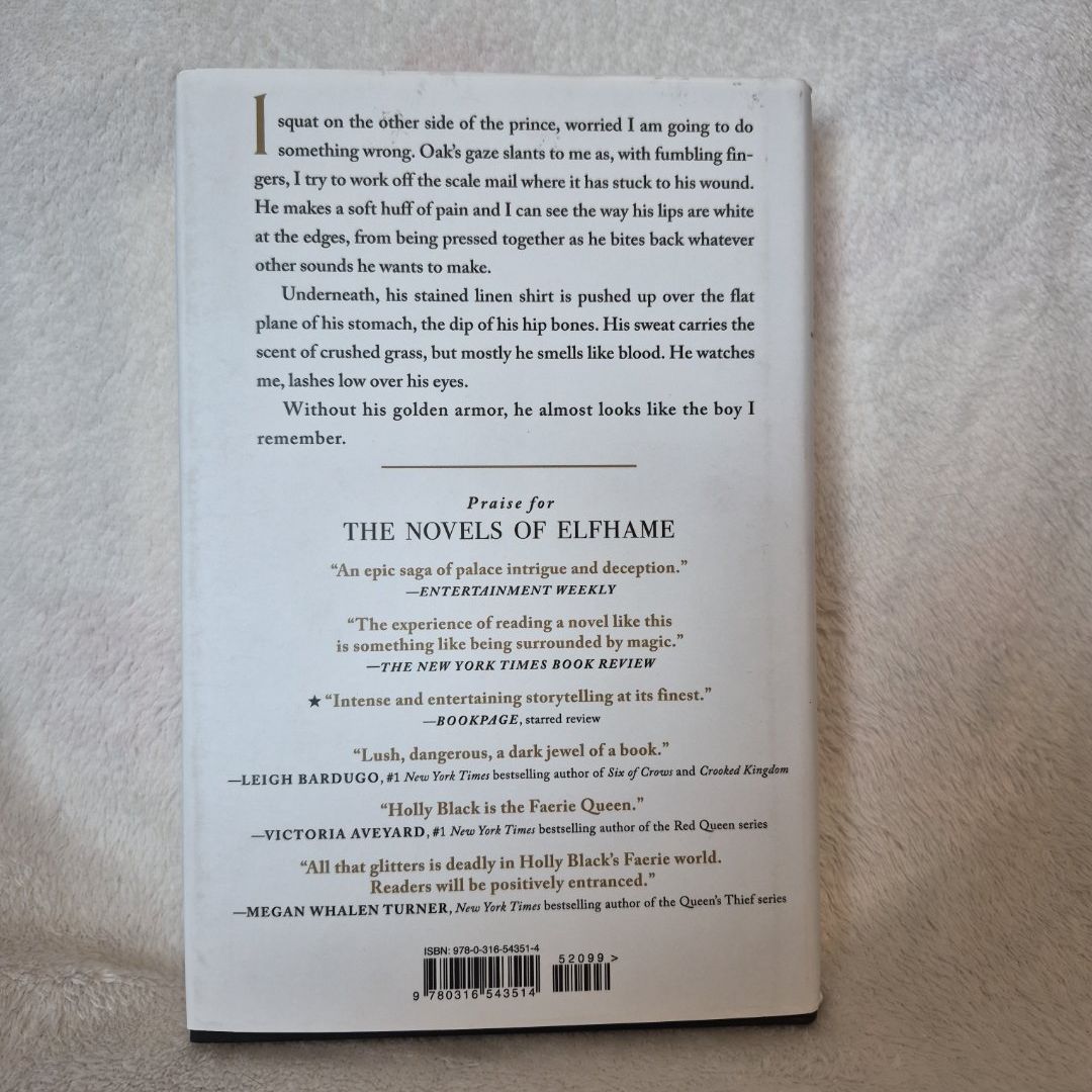 The Stolen Heir