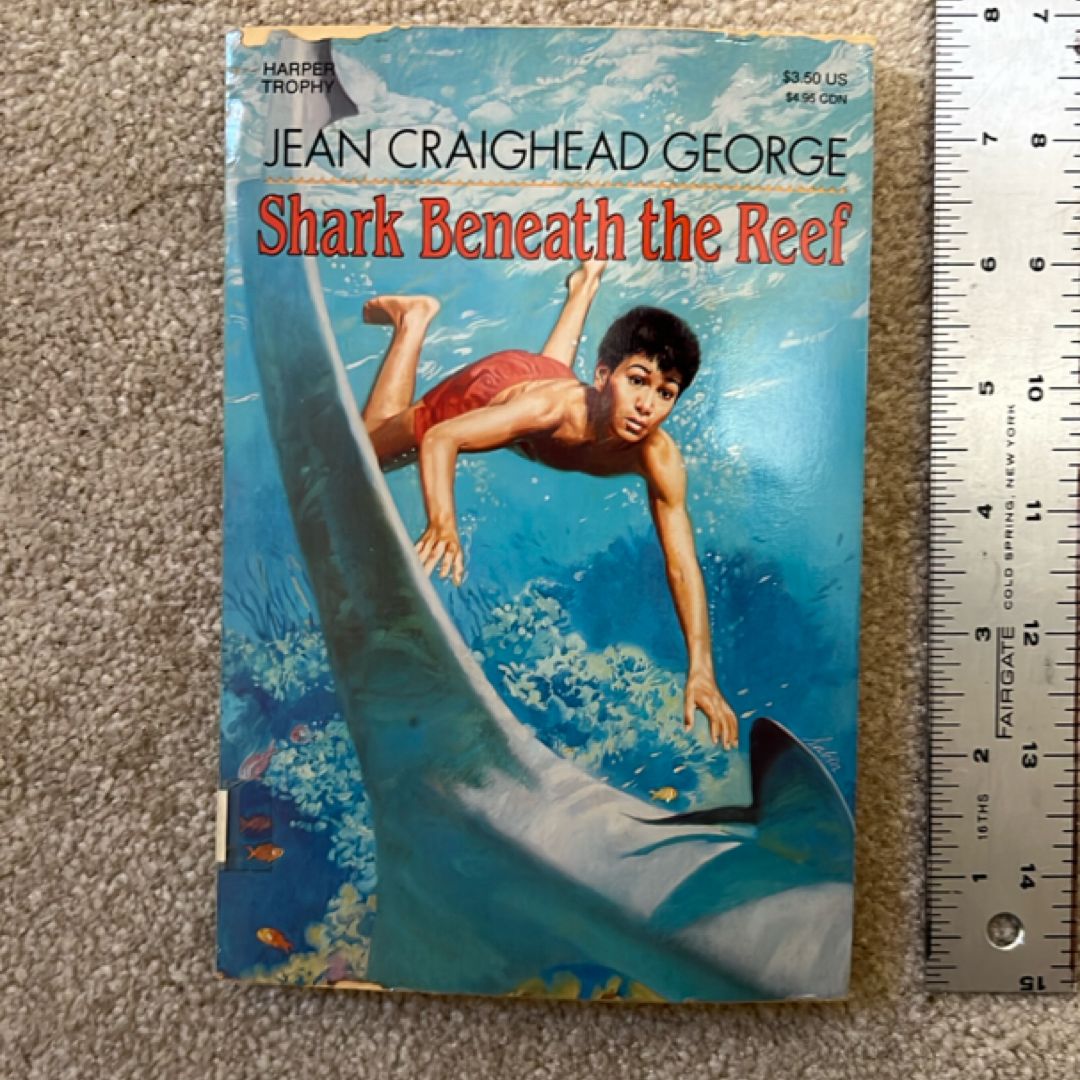 Shark Beneath the Reef