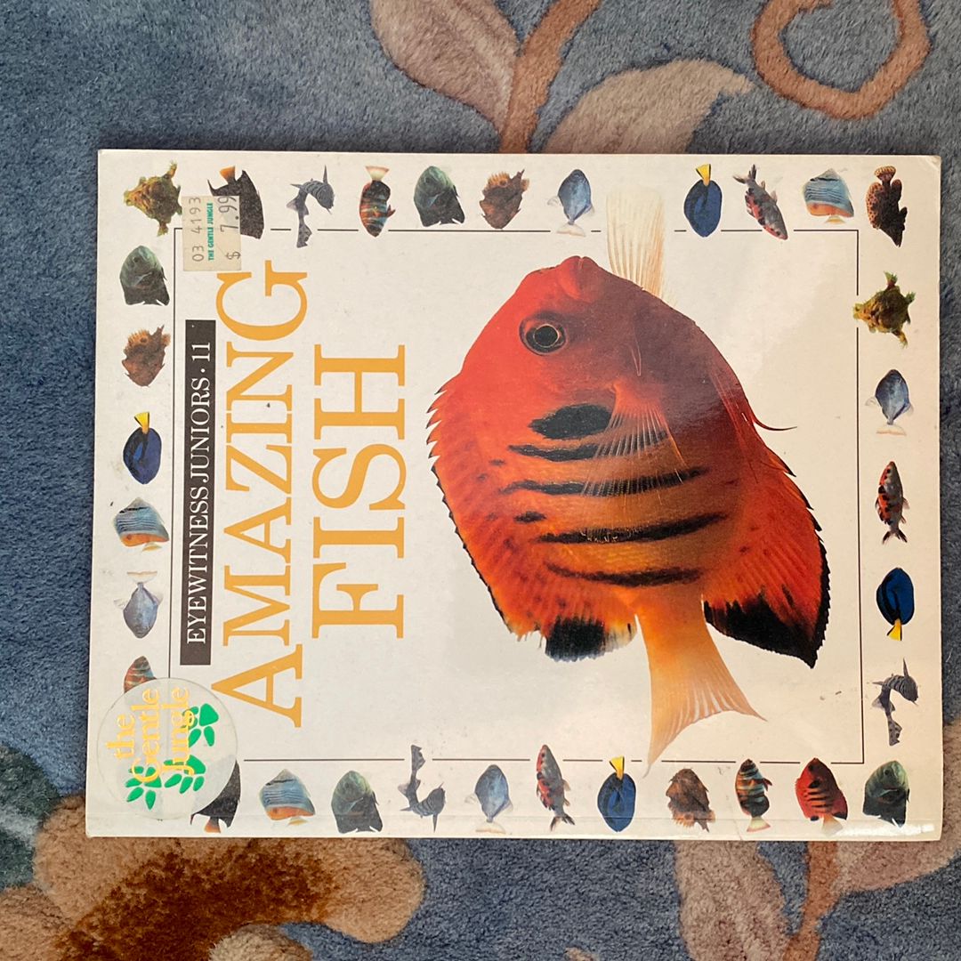 Amazing Fish 🐟 