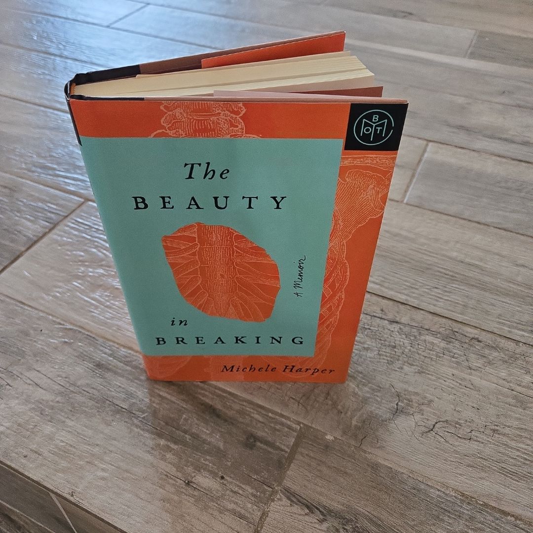 The Beauty in Breaking