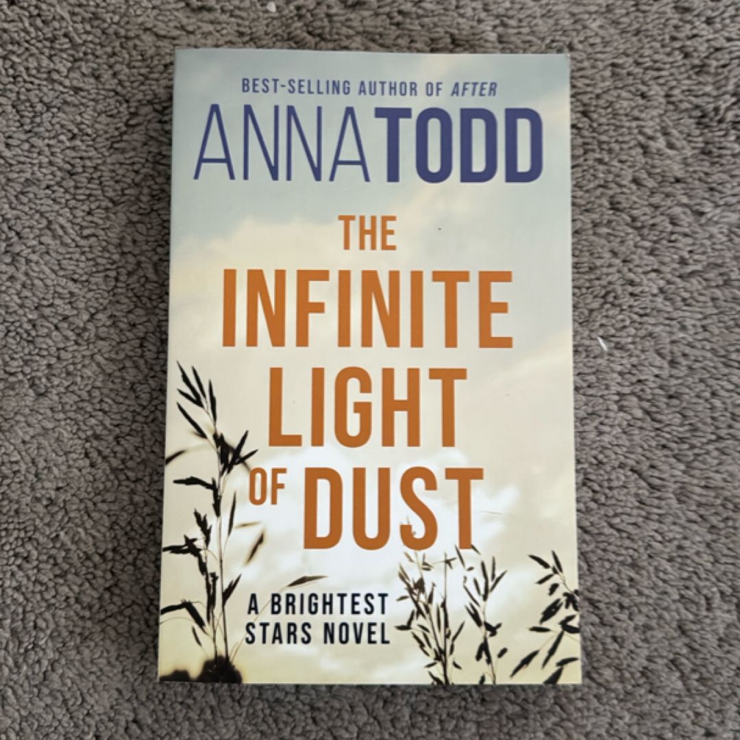 The Infinite Light of Dust
