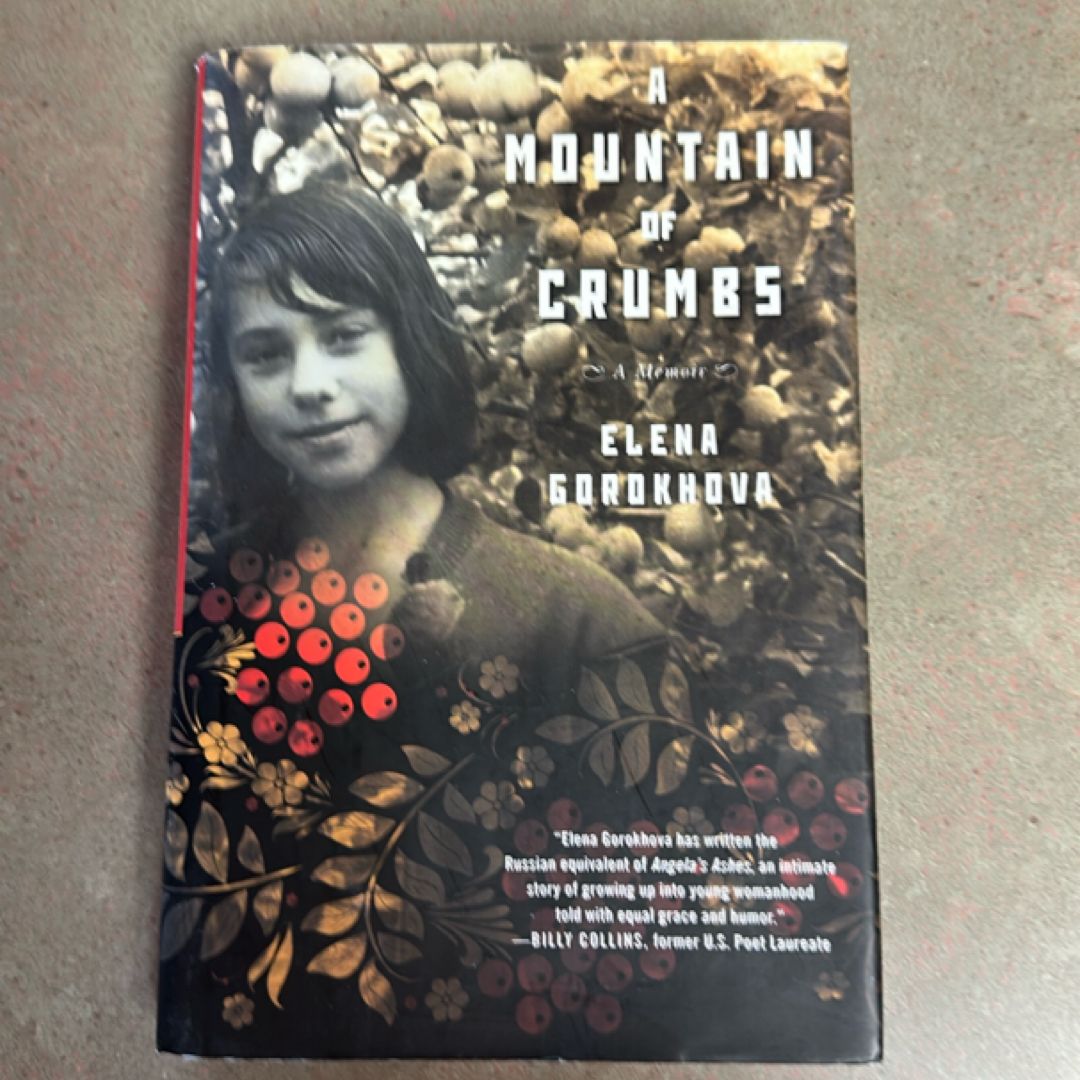 A Mountain of Crumbs