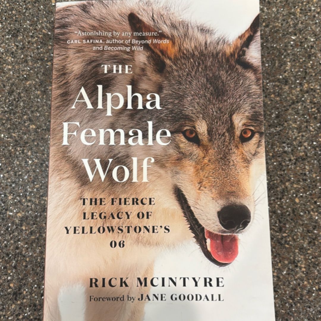 The Alpha Female Wolf