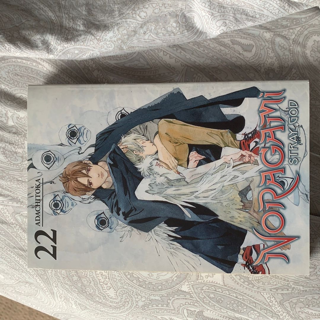 Noragami: Stray God 22