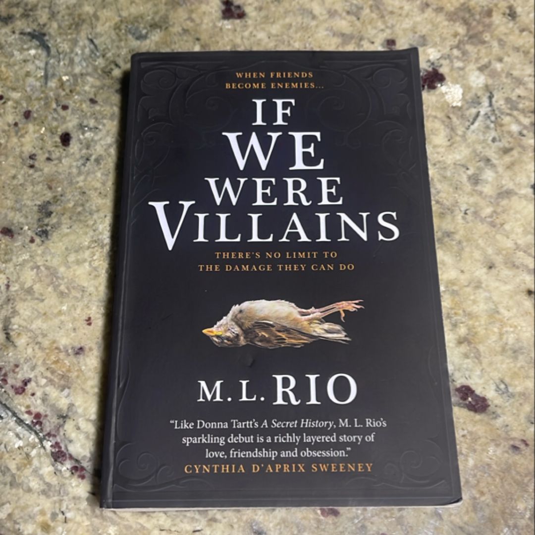 If We Were Villains