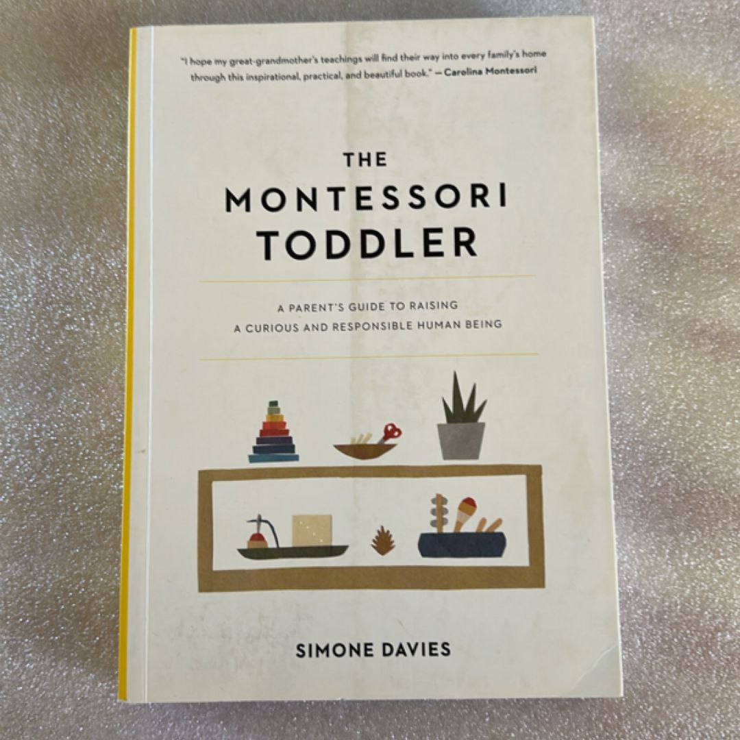 The Montessori Toddler
