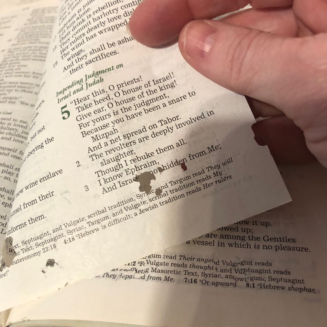 Reflections from the Heart of God