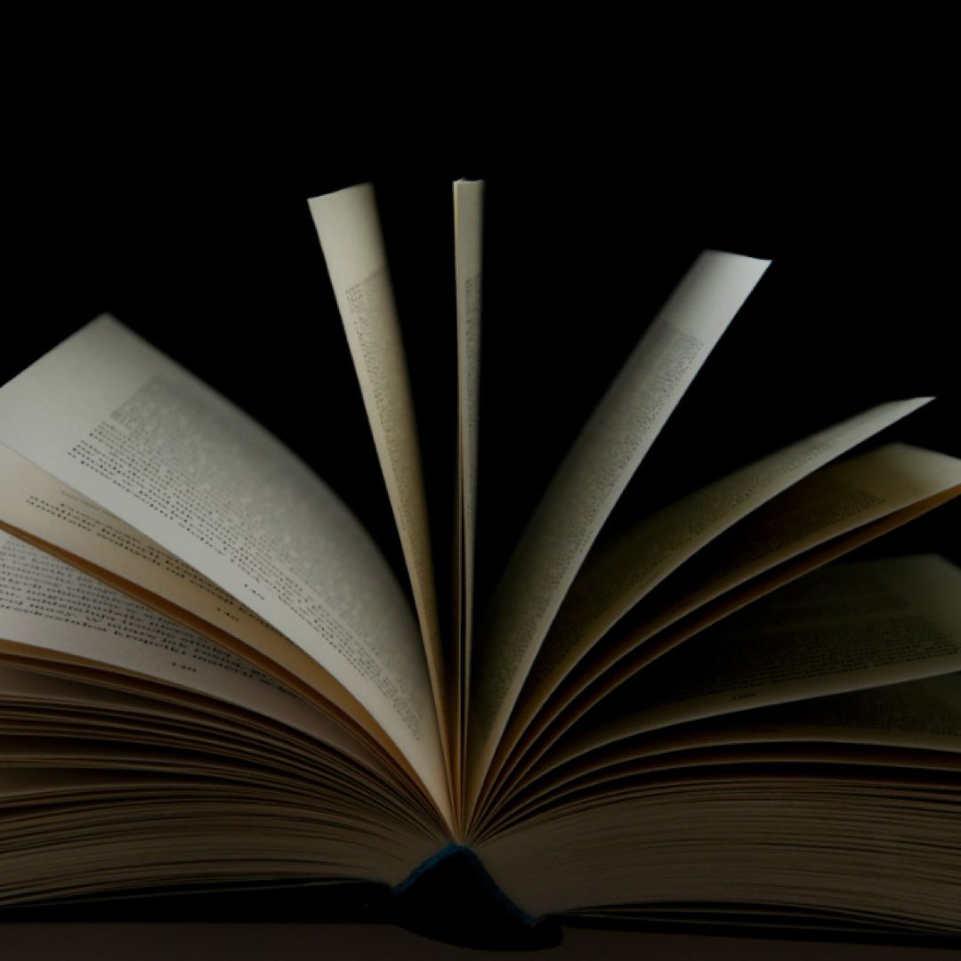Books on the Shelf