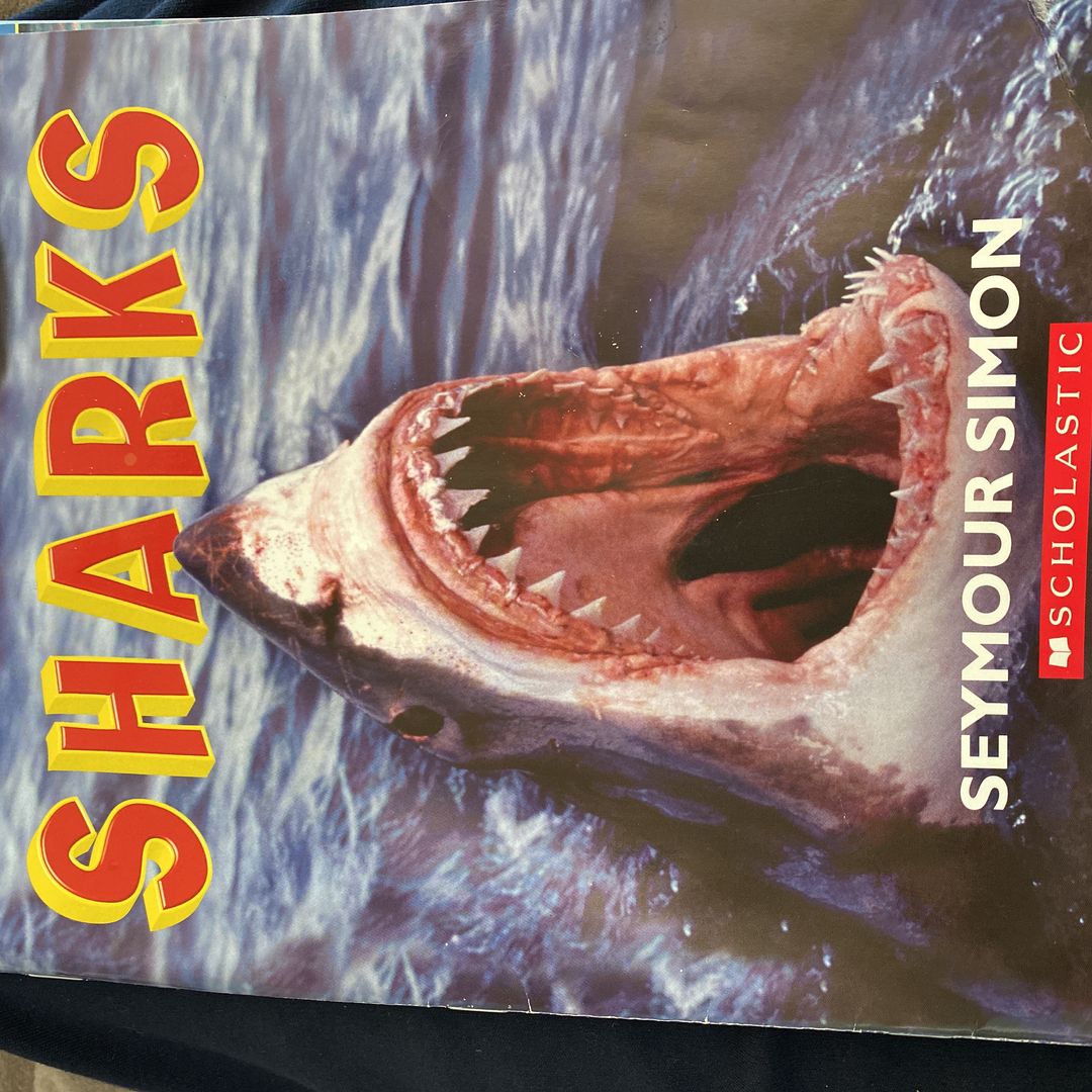 Sharks