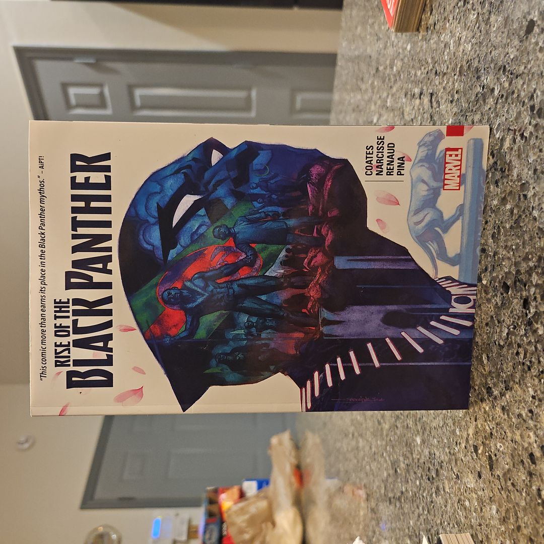 Rise of the Black Panther