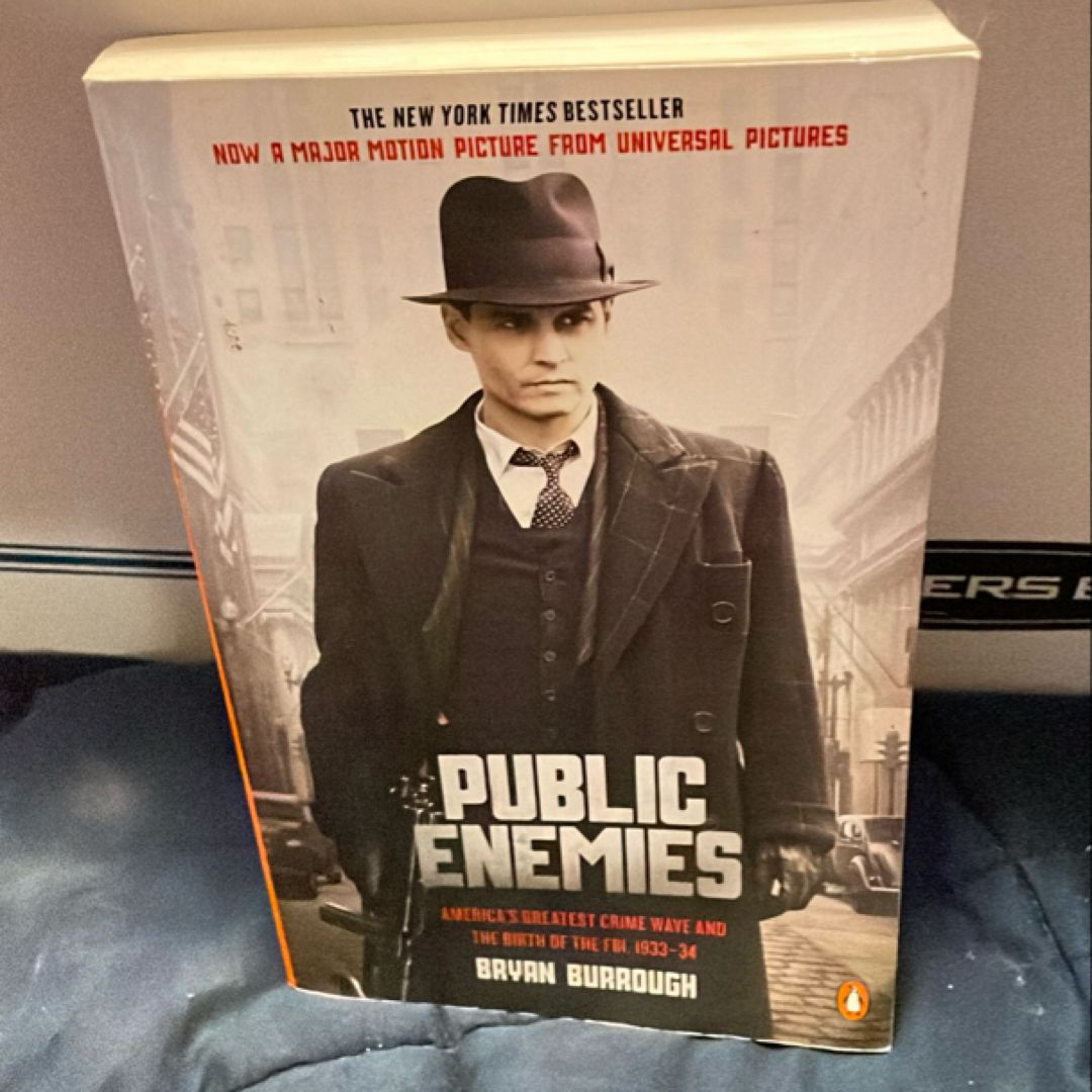 Public Enemies