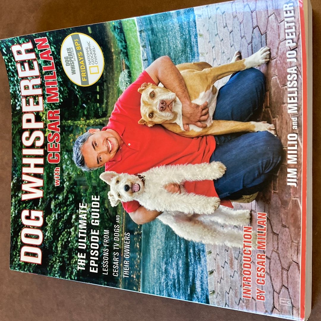 Dog Whisperer with Cesar Millan