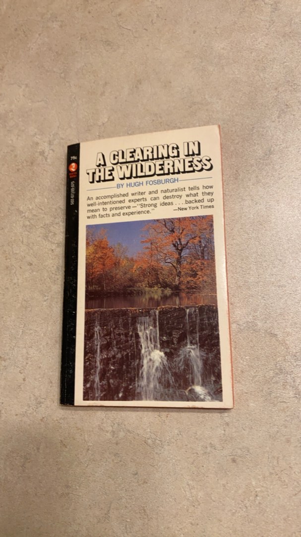 A Clearing in the Wilderness