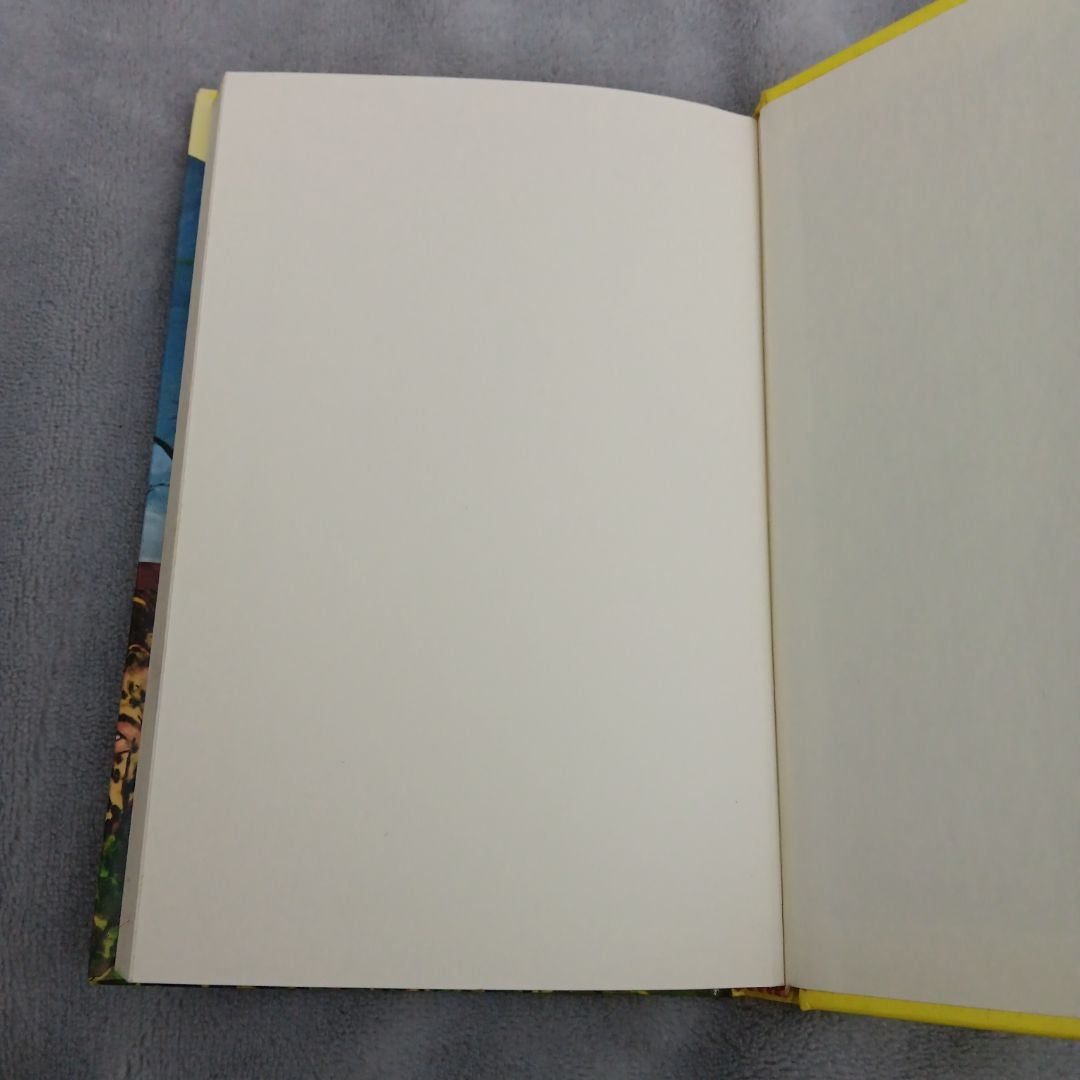 Nancy Drew 07: the Clue in the Diary
