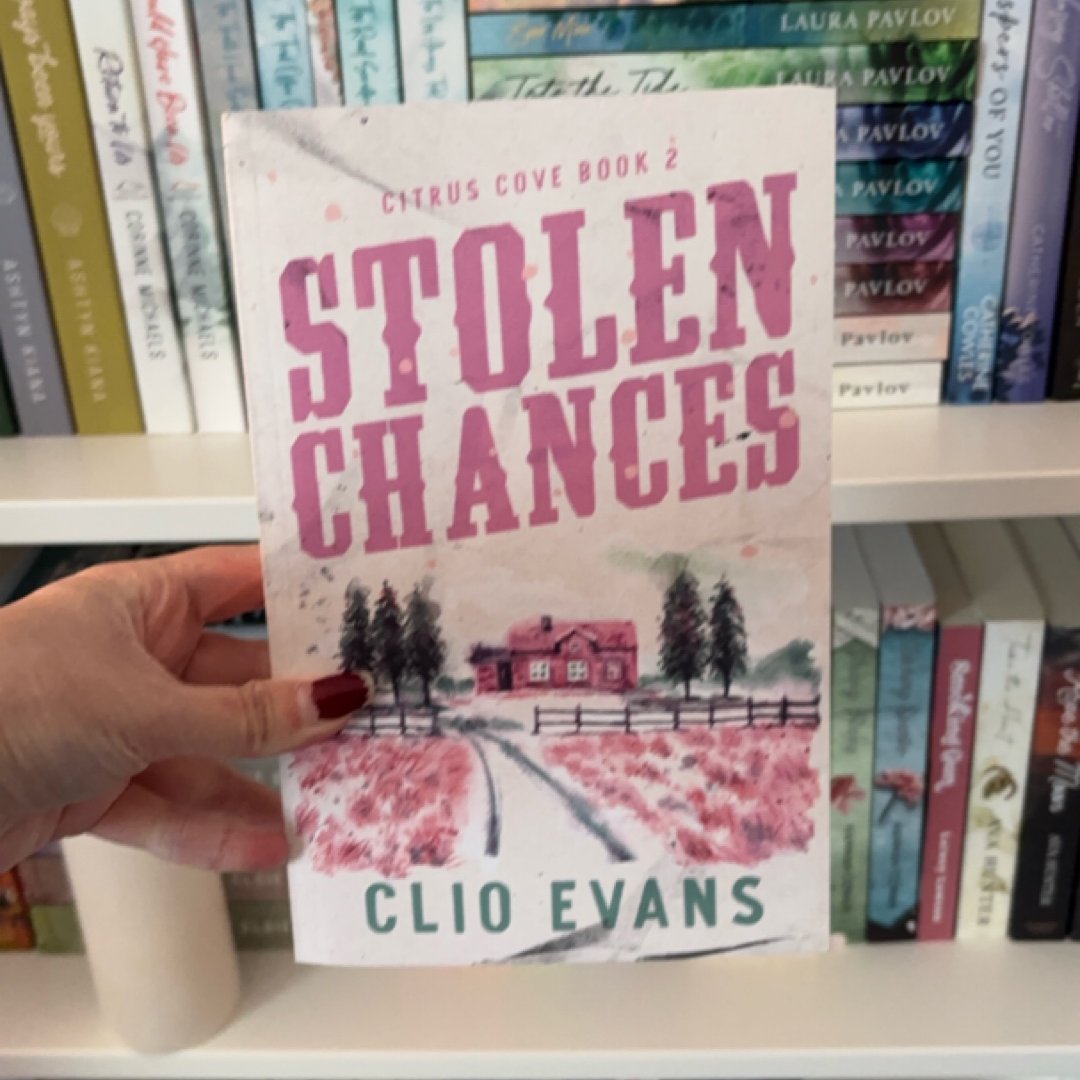Stolen Chances: a Single Mom, MMF, Small Town Romance Suspense