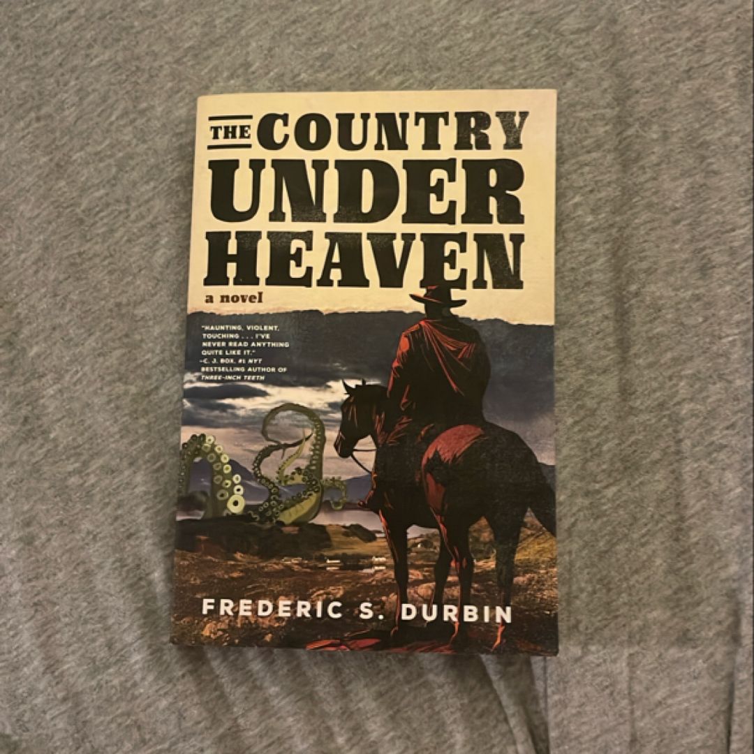 The Country under Heaven