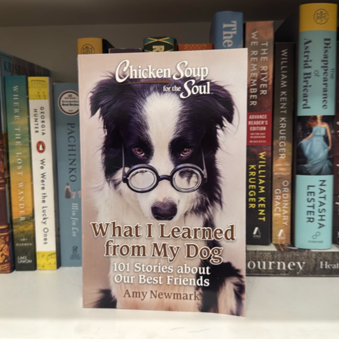 Chicken Soup for the Soul: What I Learned from My Dog