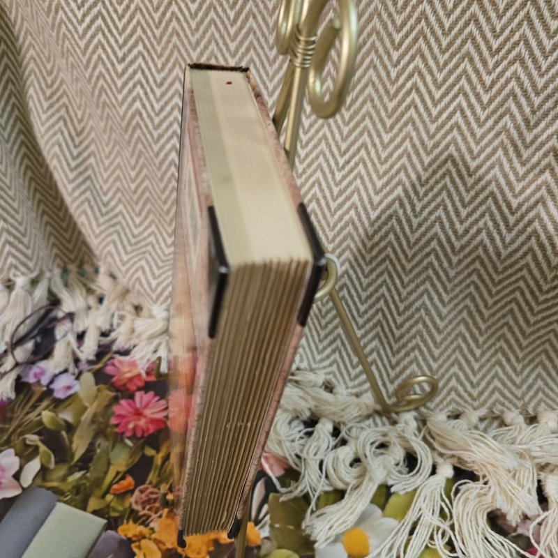 The Last of the Sky Pirates