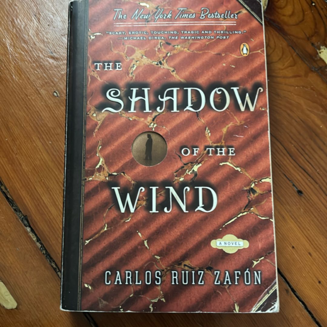 The Shadow of the Wind