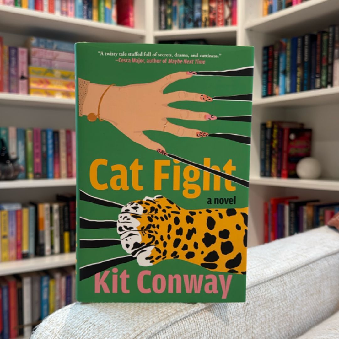 Cat Fight