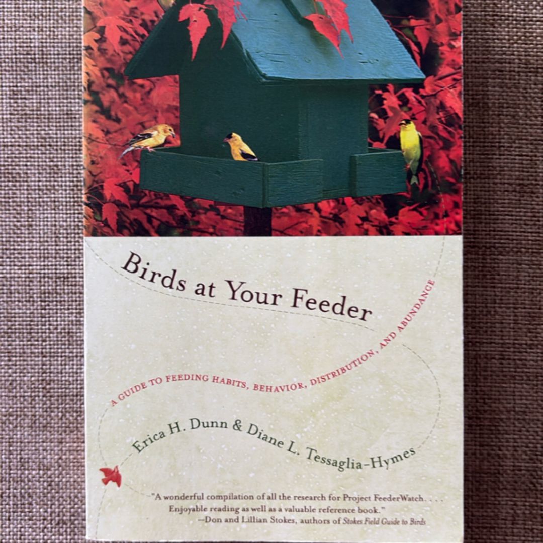 Birds at Your Feeder