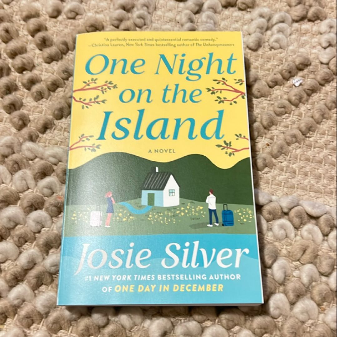 One Night on the Island