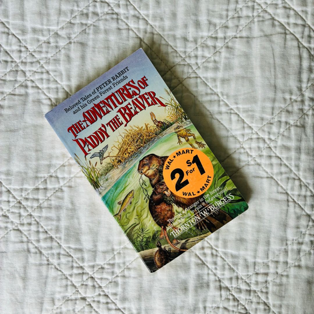 The Adventures of Paddy the Beaver