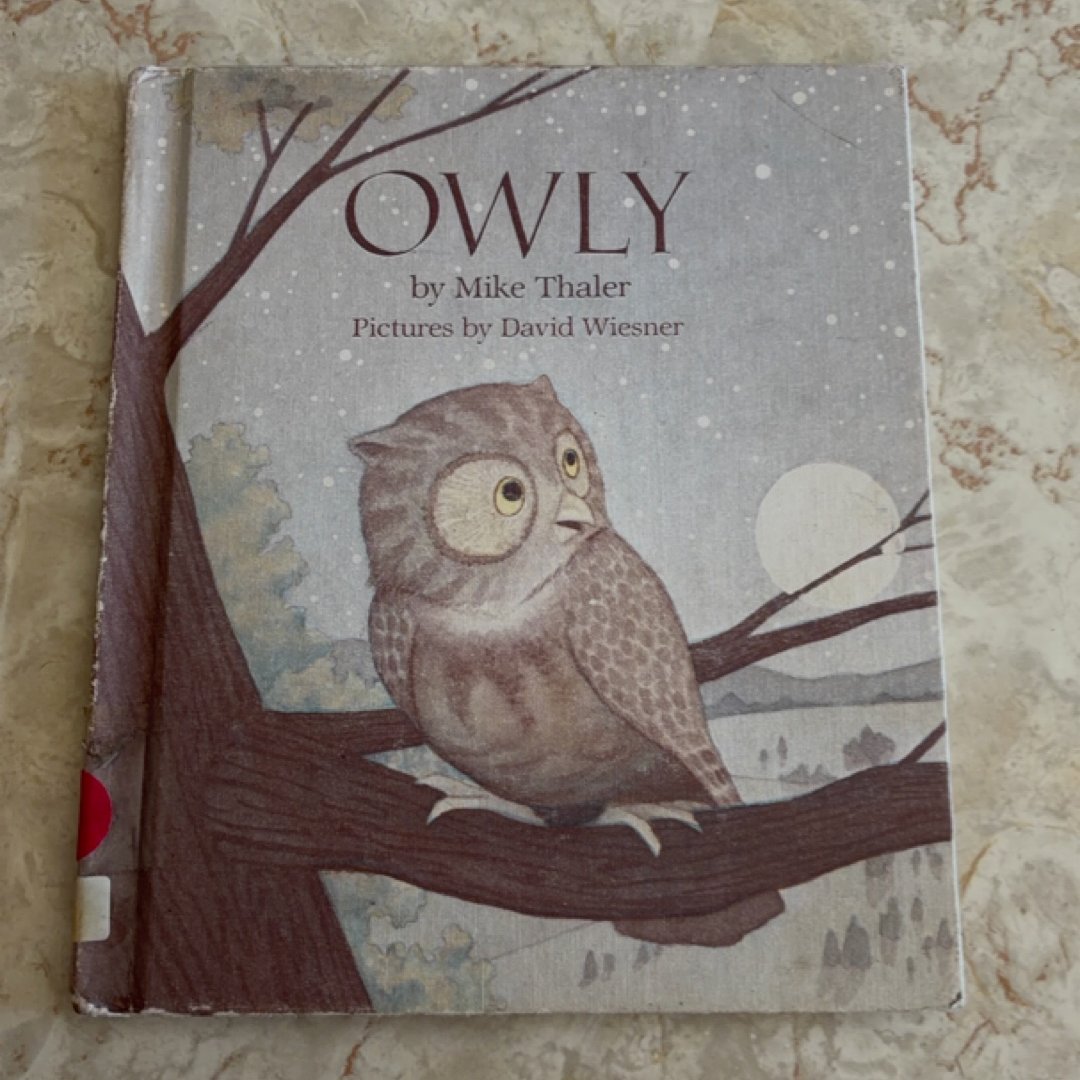 Owly