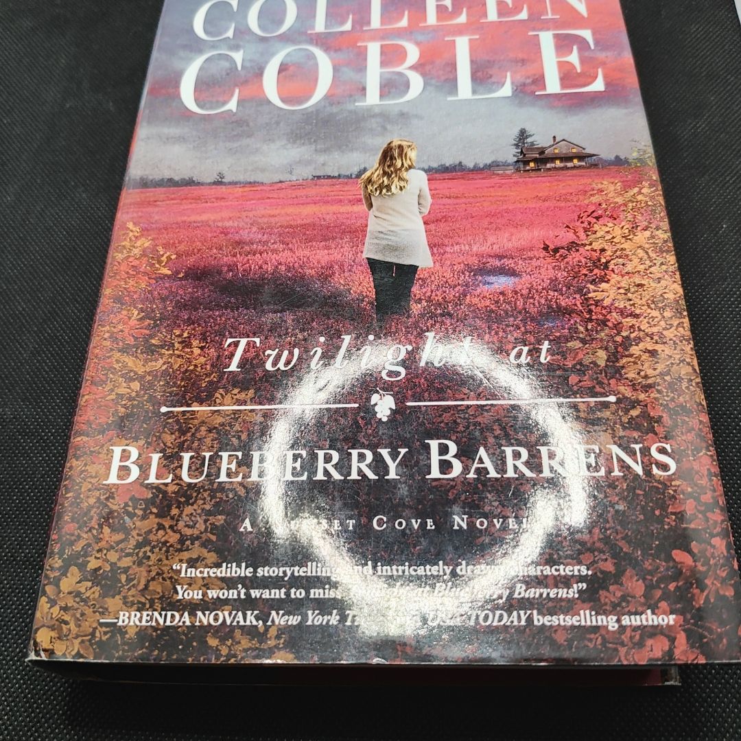 Twilight at Blueberry Barrens