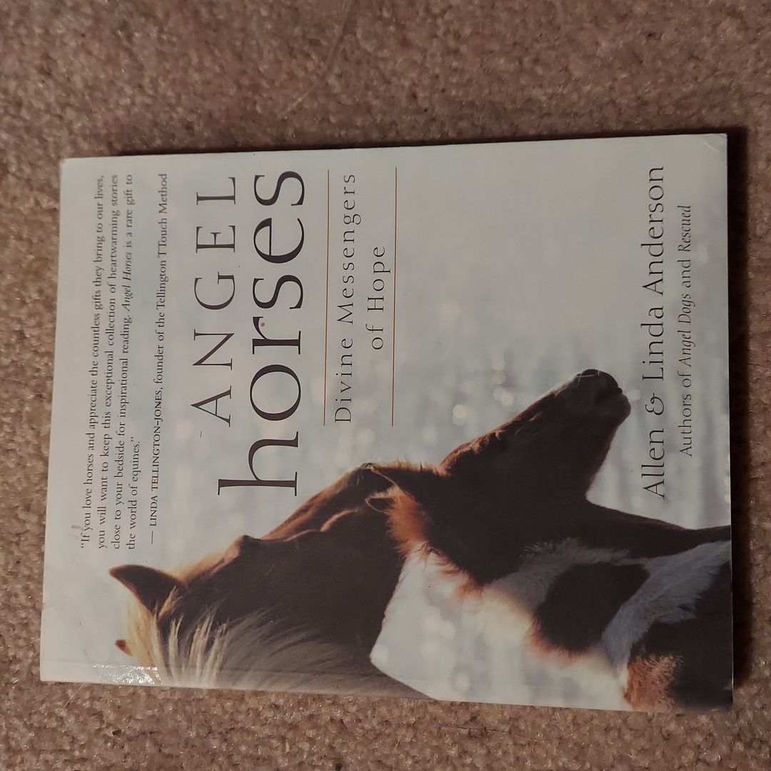Angel Horses