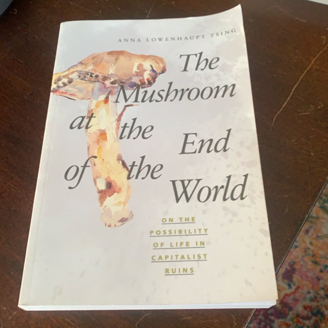 The Mushroom at the End of the World